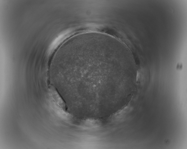 X0000113560101200910091424