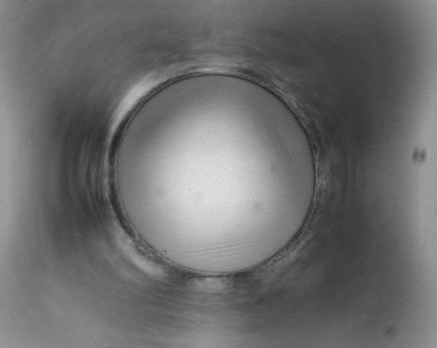 X0000113560102200910091424