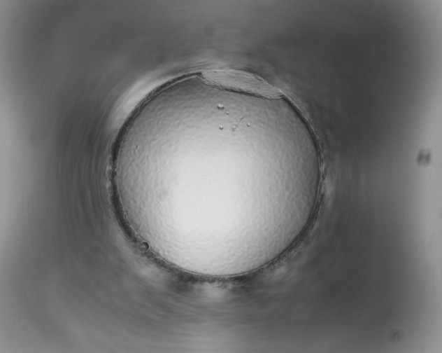 X0000113560103200910091424