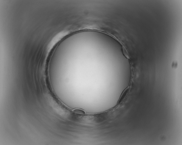 X0000113560104200910091424