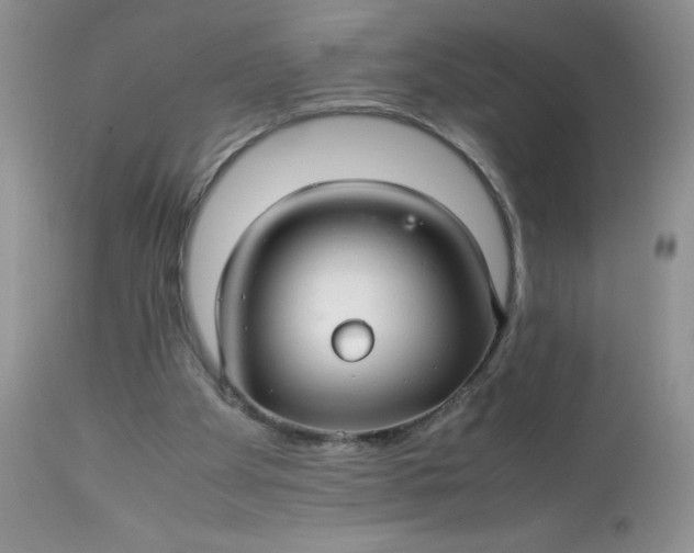 X0000113560105200910091424