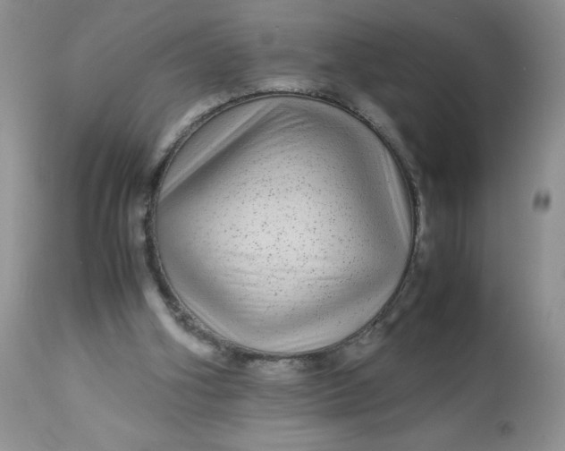 X0000113560106200910091424