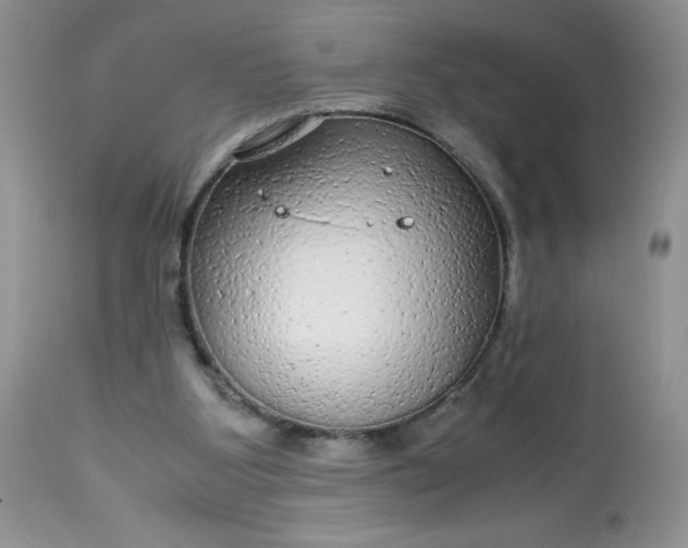 X0000113560107200910091424