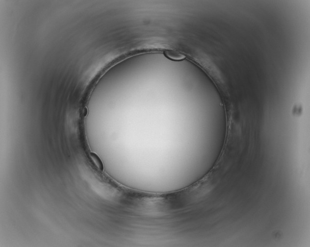 X0000113560108200910091424