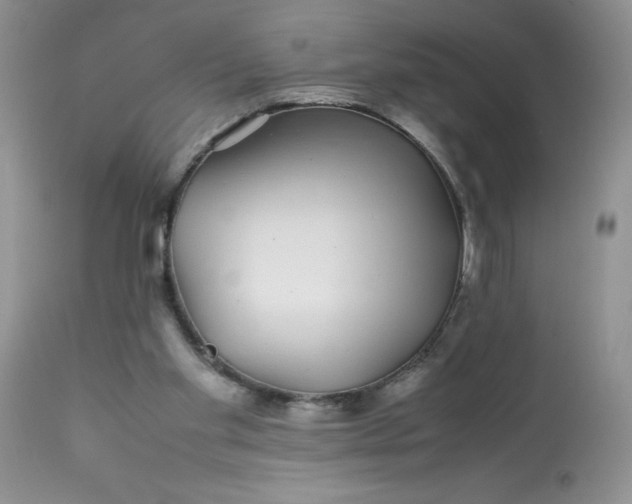 X0000113560109200910091424