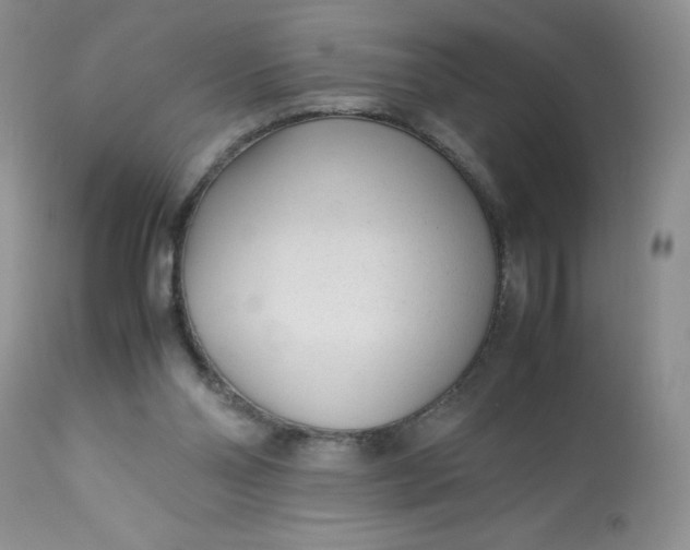 X0000113560110200910091424