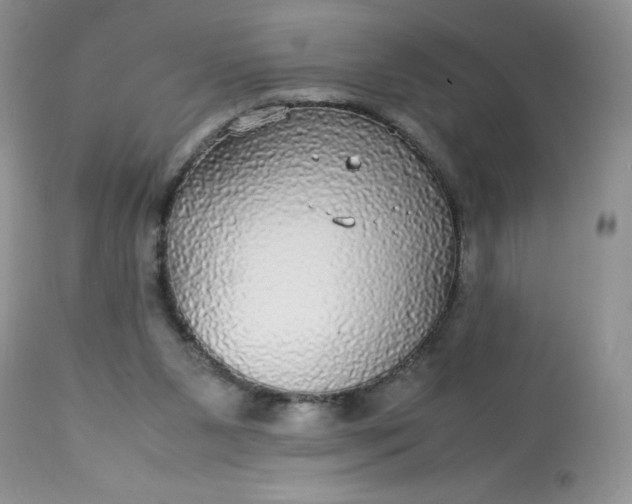 X0000113560111200910091424