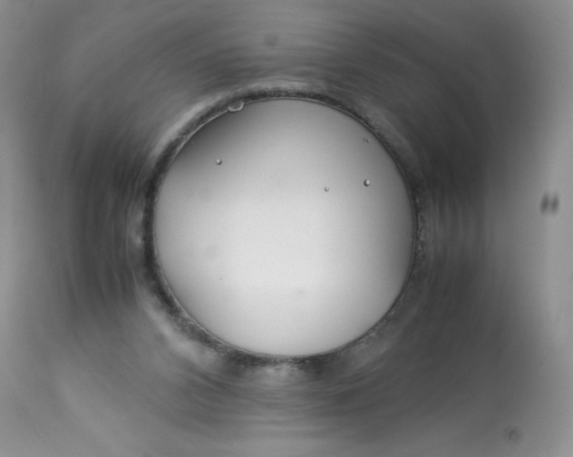 X0000113560112200910091424
