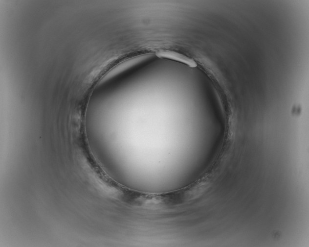 X0000113560113200910091424