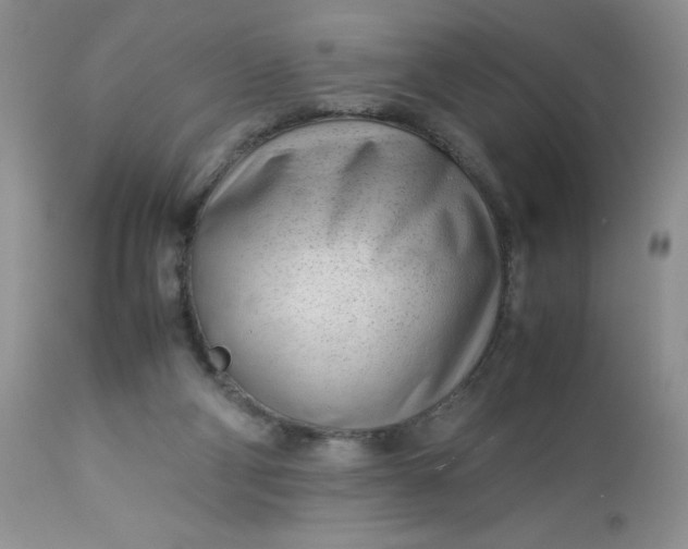X0000113560114200910091424