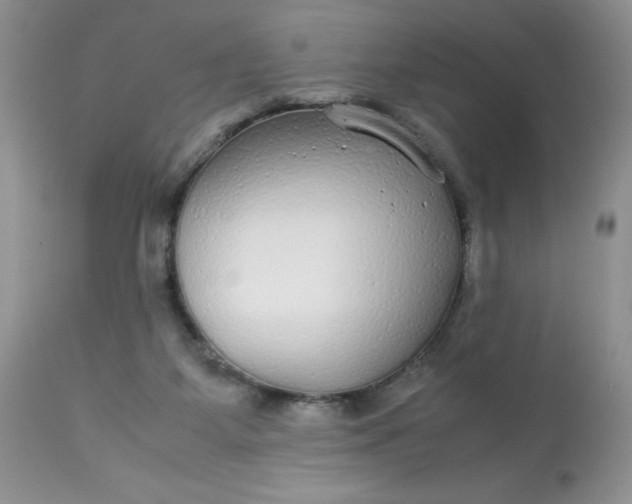 X0000113560115200910091424