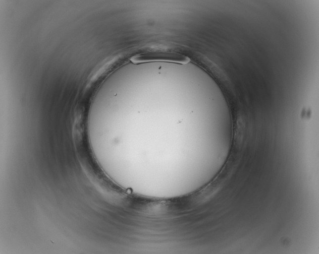 X0000113560116200910091424