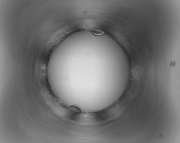 X0000113560117200910091424