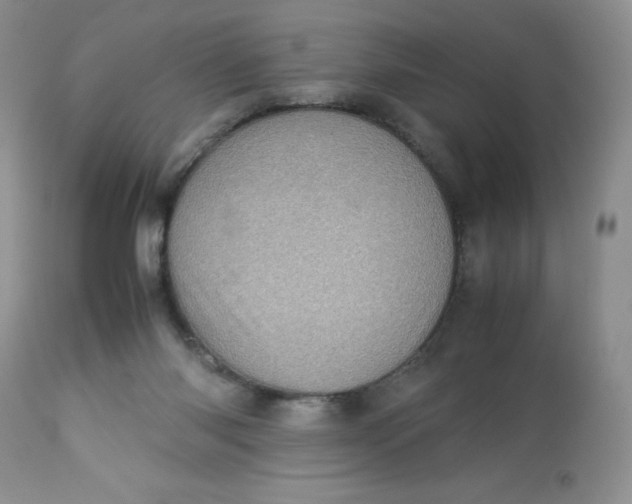 X0000113560118200910091424
