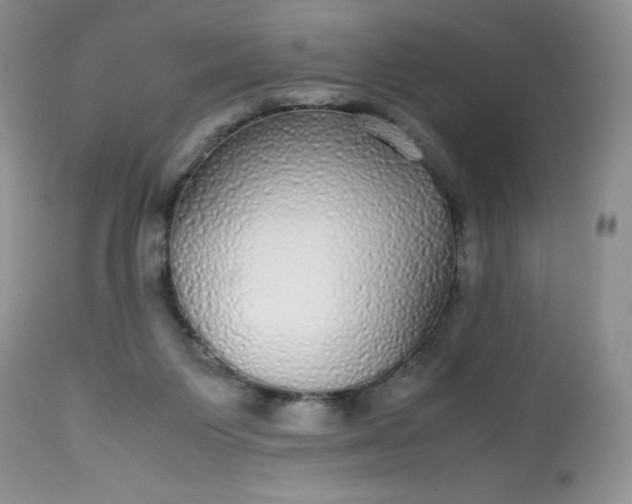 X0000113560119200910091424