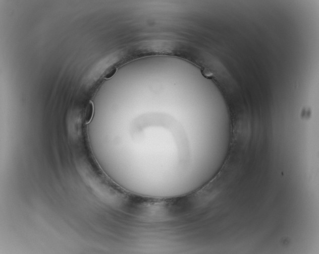 X0000113560120200910091424