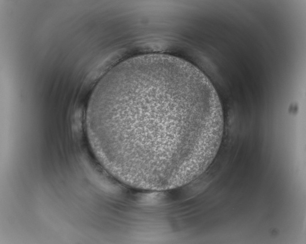 X0000113560122200910091424