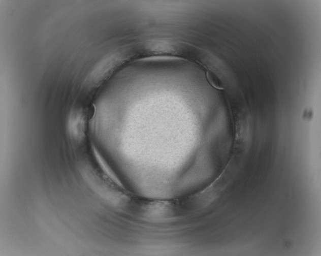 X0000113560124200910091424