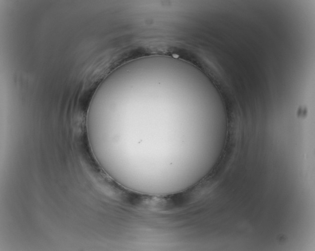 X0000113560125200910091424