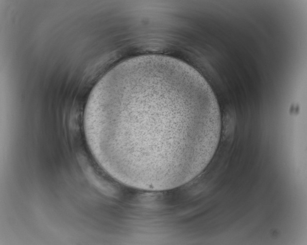 X0000113560126200910091424