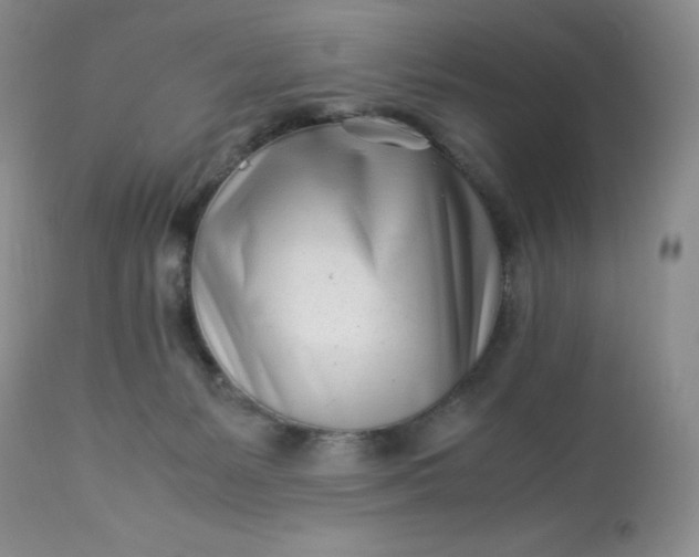 X0000113560127200910091424