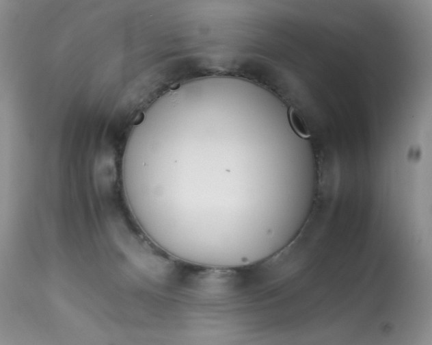 X0000113560128200910091424