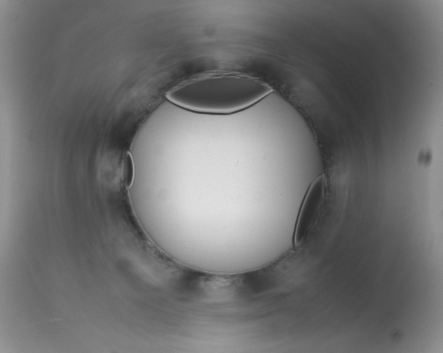 X0000113560129200910091424