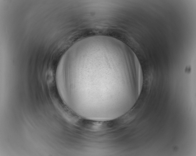 X0000113560130200910091424