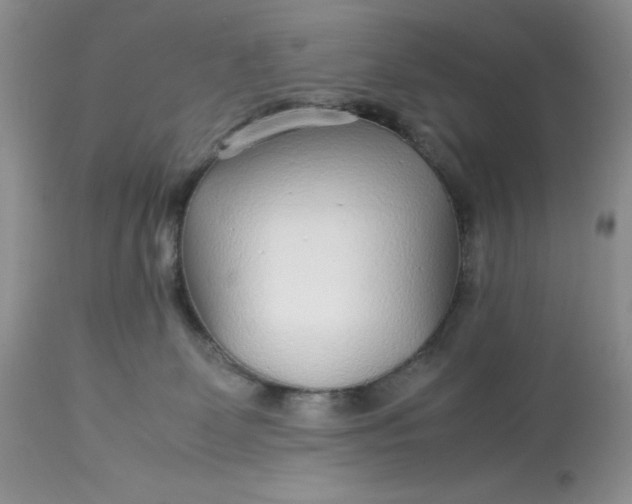 X0000113560131200910091424