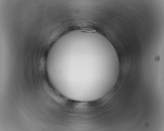 X0000113560132200910091424