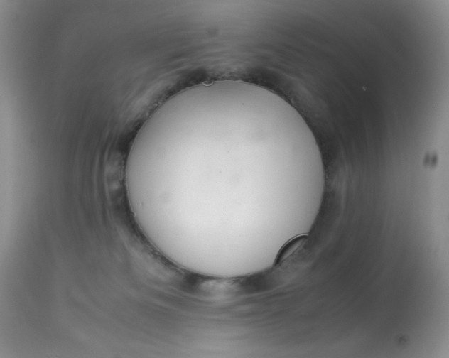 X0000113560133200910091424