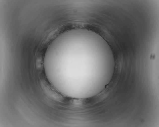 X0000113560134200910091424