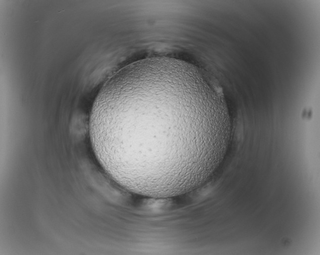 X0000113560135200910091424