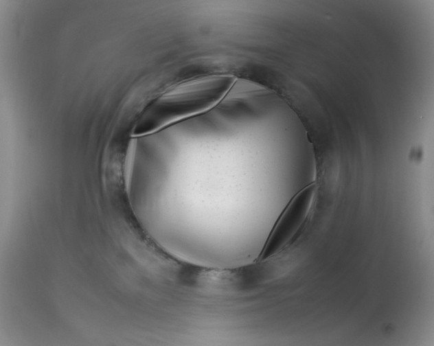 X0000113560137200910091424