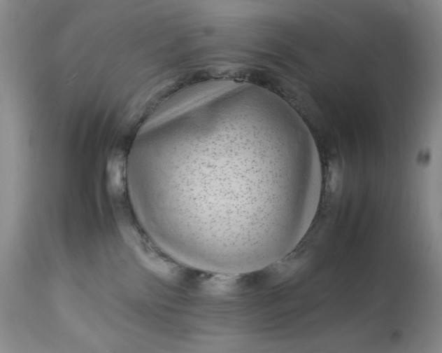 X0000113560138200910091424