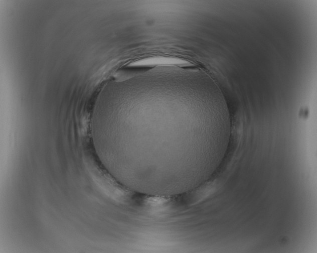 X0000113560139200910091424