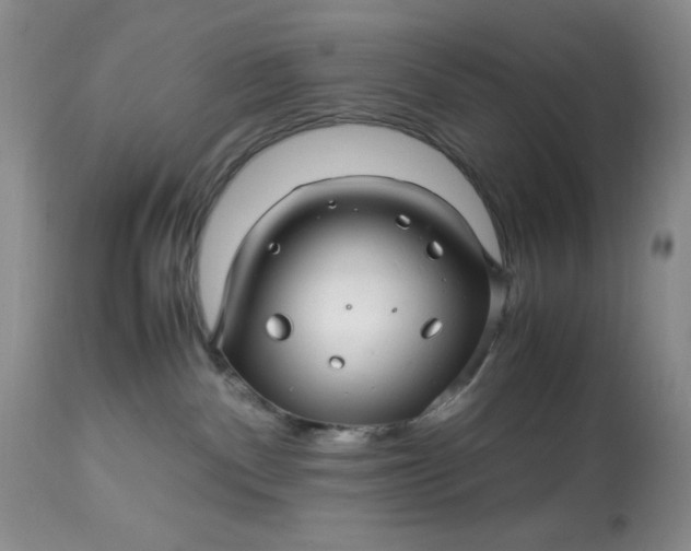 X0000113560140200910091424