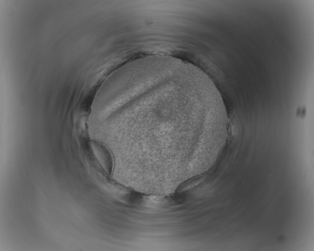X0000113560141200910091424