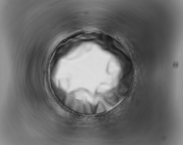 X0000113560145200910091423
