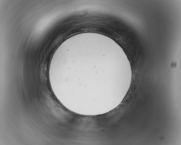 X0000113560146200910091423