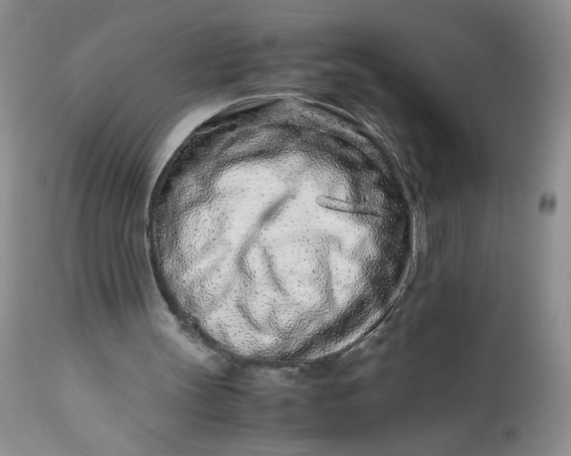 X0000113560147200910091423