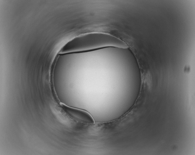 X0000113560148200910091423