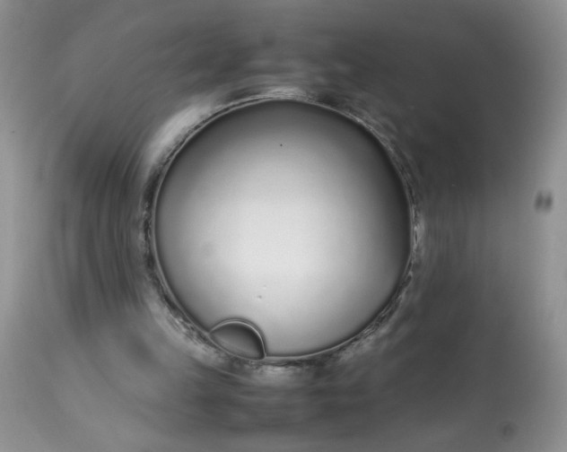 X0000113560149200910091423
