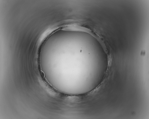 X0000113560150200910091423