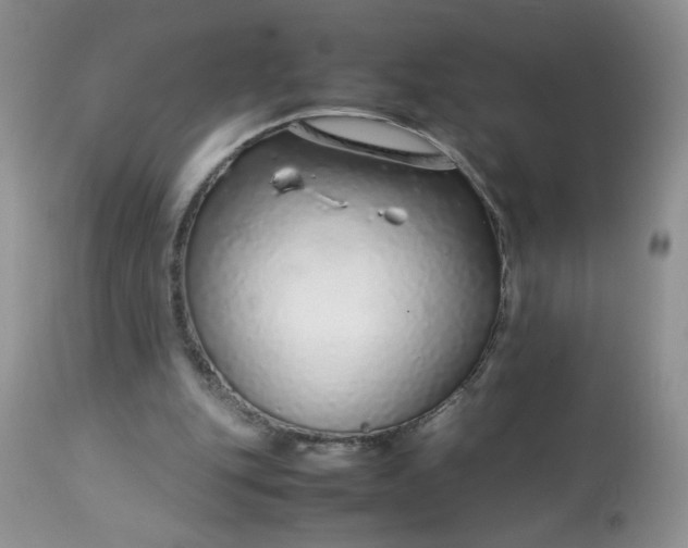 X0000113560151200910091423