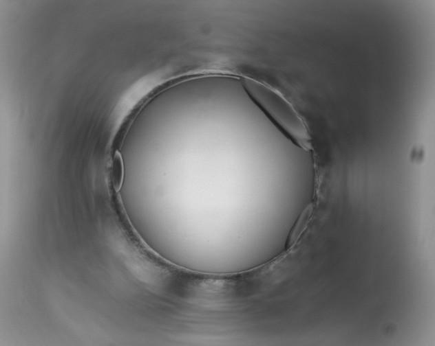 X0000113560152200910091423