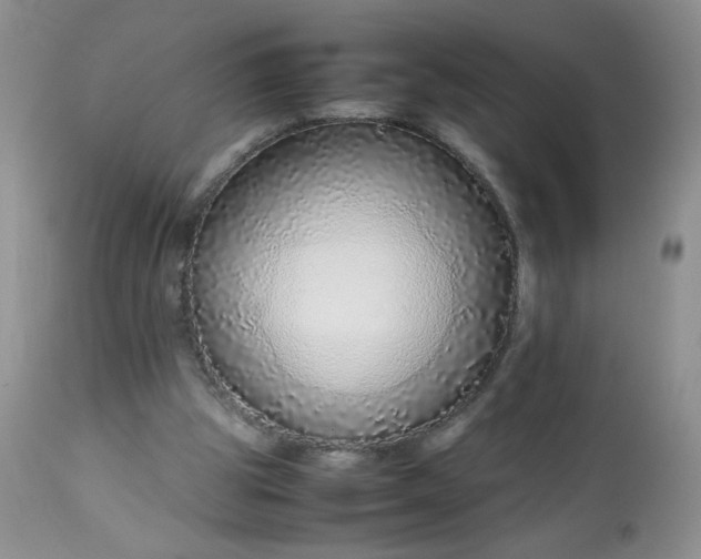 X0000113560153200910091423
