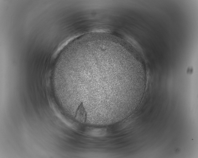 X0000113560155200910091423