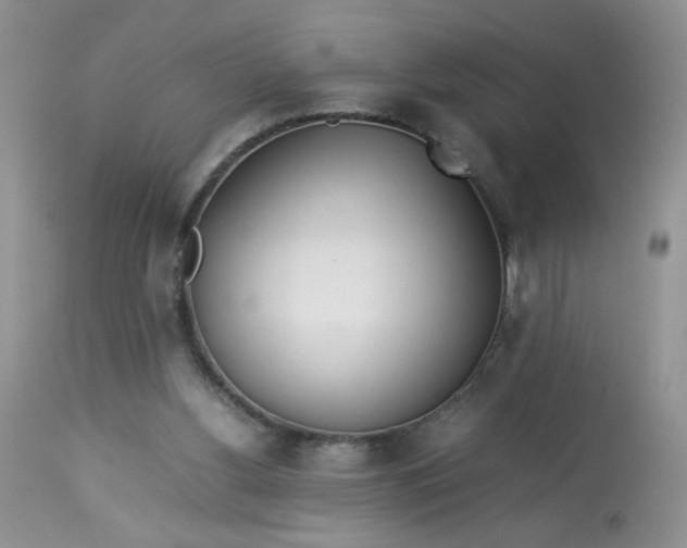 X0000113560156200910091423