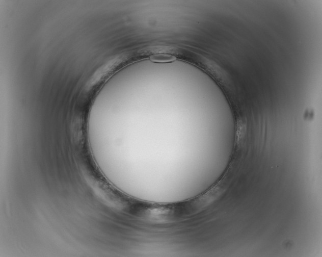 X0000113560158200910091423